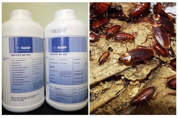 Средство от тараканов самое эффективное в квартире