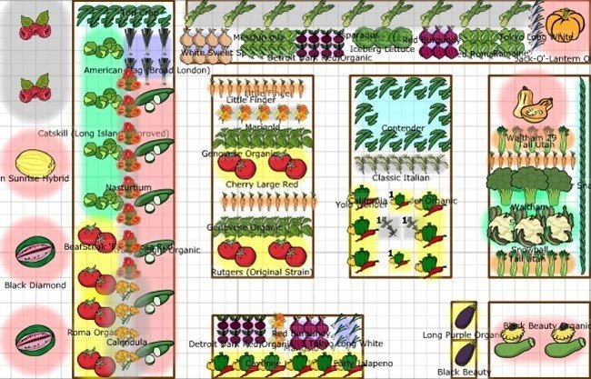 Планировка огорода под посадки овощей схема