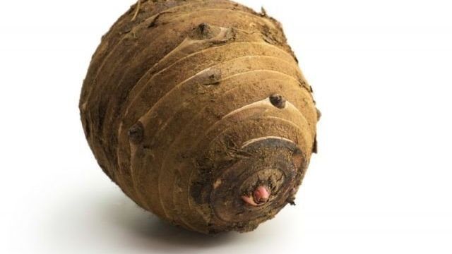 Китайский метод выращивания картофеля