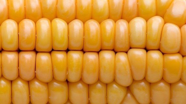 Полезная и вкусная кукуруза — как правильно варить, запекать и замораживать