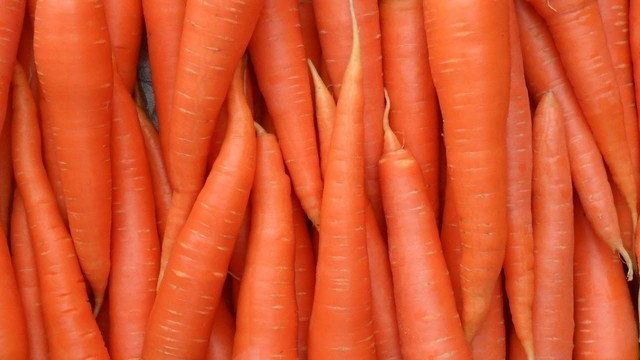 Девицы в темнице, или Лучшие сорта моркови для хранения на зиму