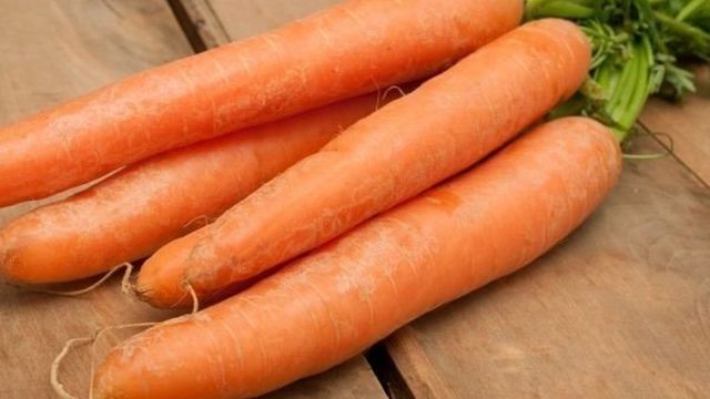 Раннеспелый гибрид моркови с отличной урожайностью