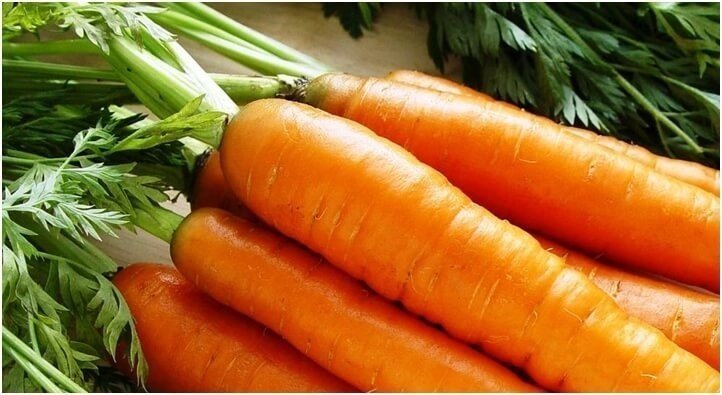 Сорт моркови женское счастье