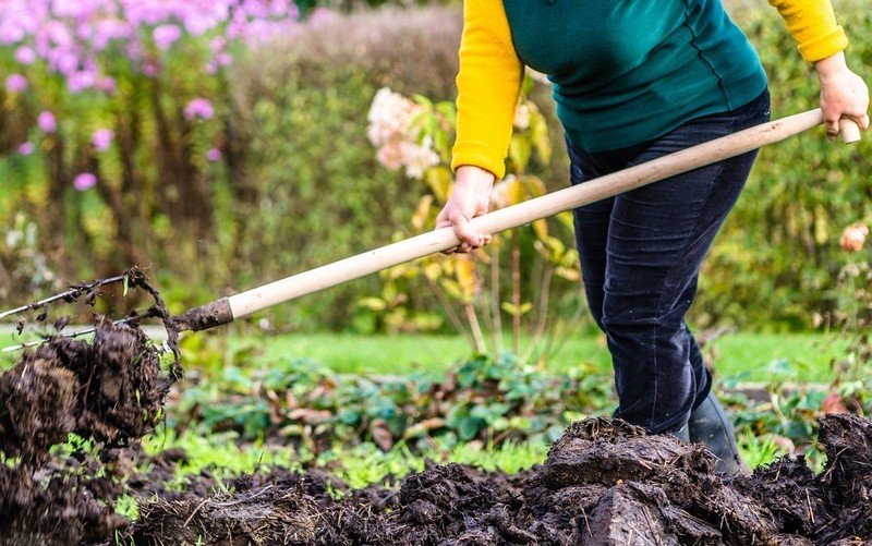 How much do gardeners earn in training?