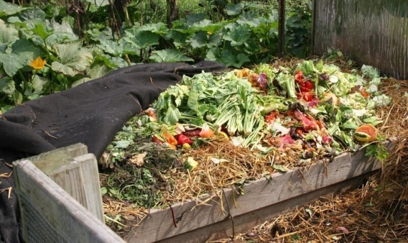 Пищевые отходы для огорода