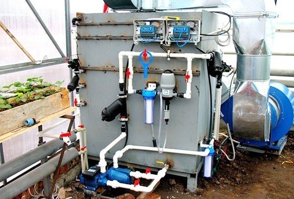 Автоматическая система капельного полива для промышленных теплиц