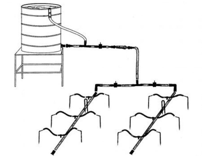 Схема капельного полива для теплицы из бочки