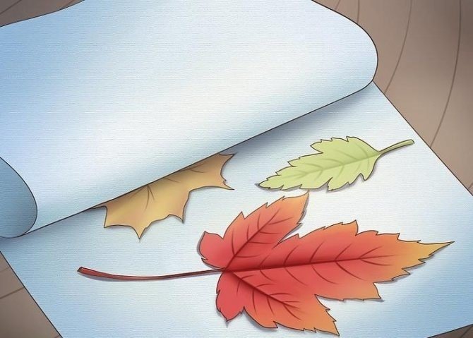Рисунки с приклеенными листочками осень
