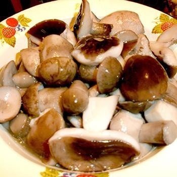Маслята грибы маринованные