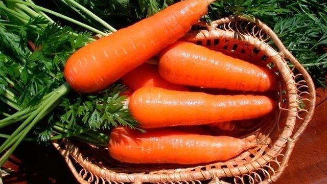 Способы хранения моркови в погребе в зимний период
